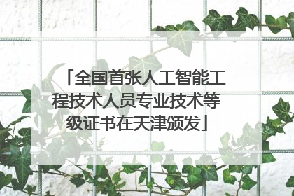 全国首张人工智能工程技术人员专业技术等级证书在天津颁发